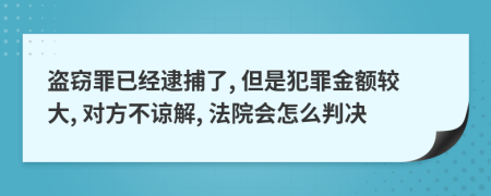 盗窃罪已经逮捕了, 但是犯罪金额较大, 对方不谅解, 法院会怎么判决