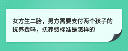 女方生二胎，男方需要支付两个孩子的抚养费吗，抚养费标准是怎样的