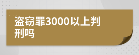 盗窃罪3000以上判刑吗