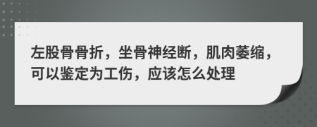 左股骨骨折，坐骨神经断，肌肉萎缩，可以鉴定为工伤，应该怎么处理