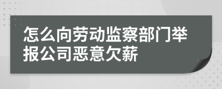 怎么向劳动监察部门举报公司恶意欠薪