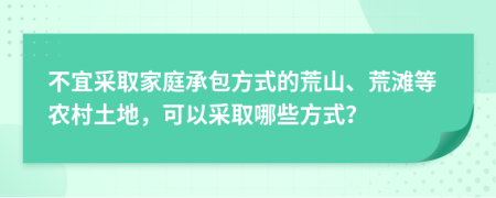 不宜采取家庭承包方式的荒山、荒滩等农村土地，可以采取哪些方式？