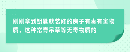 刚刚拿到钥匙就装修的房子有毒有害物质，这种常青吊草等无毒物质的