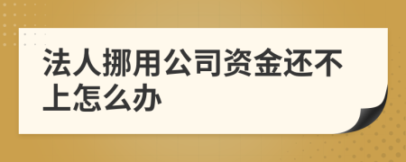 法人挪用公司资金还不上怎么办