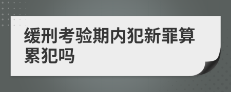 缓刑考验期内犯新罪算累犯吗