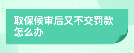 取保候审后又不交罚款怎么办