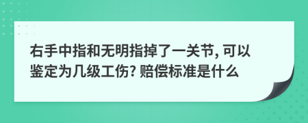 右手中指和无明指掉了一关节, 可以鉴定为几级工伤? 赔偿标准是什么