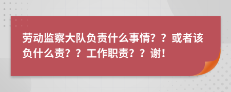 劳动监察大队负责什么事情？？或者该负什么责？？工作职责？？谢！