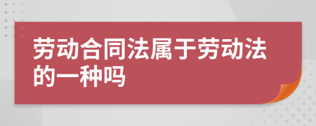 劳动合同法属于劳动法的一种吗