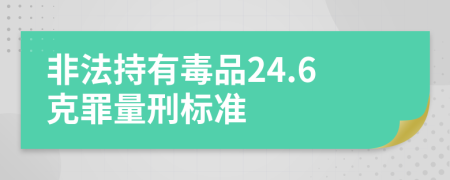 非法持有毒品24.6克罪量刑标准