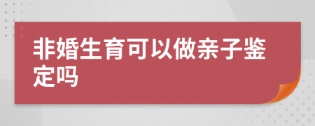 非婚生育可以做亲子鉴定吗