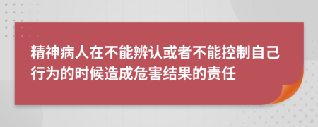 精神病人在不能辨认或者不能控制自己行为的时候造成危害结果的责任