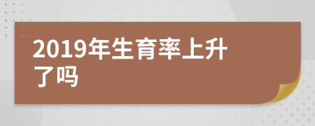 2019年生育率上升了吗