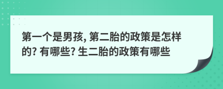 第一个是男孩, 第二胎的政策是怎样的? 有哪些? 生二胎的政策有哪些