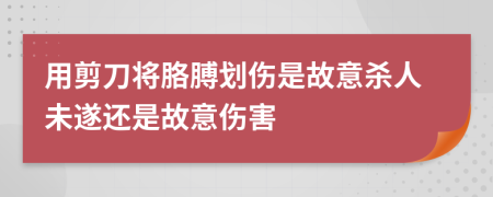 用剪刀将胳膊划伤是故意杀人未遂还是故意伤害
