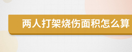 两人打架烧伤面积怎么算