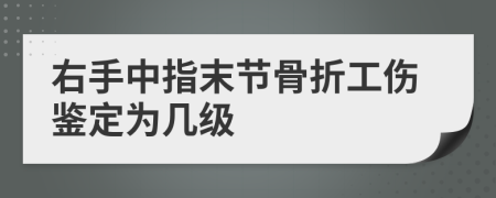 右手中指末节骨折工伤鉴定为几级