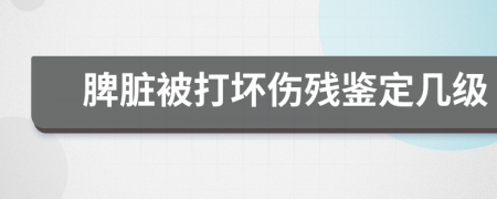 脾脏被打坏伤残鉴定几级