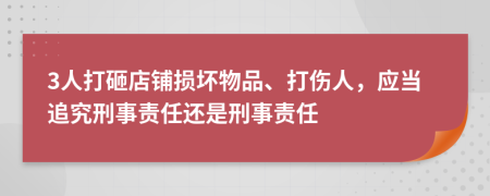 3人打砸店铺损坏物品、打伤人，应当追究刑事责任还是刑事责任