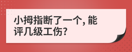 小拇指断了一个, 能评几级工伤?