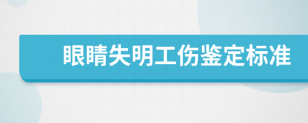 眼睛失明工伤鉴定标准