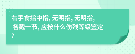 右手食指中指, 无明指, 无明指, 各截一节, 应按什么伤残等级鉴定?