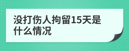 没打伤人拘留15天是什么情况