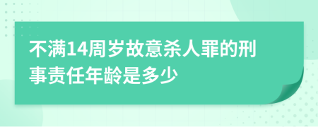 不满14周岁故意杀人罪的刑事责任年龄是多少