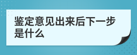 鉴定意见出来后下一步是什么