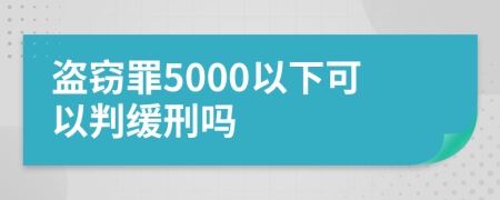 盗窃罪5000以下可以判缓刑吗