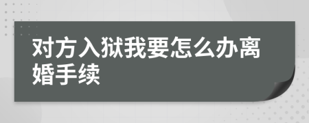 对方入狱我要怎么办离婚手续