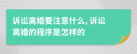 诉讼离婚要注意什么, 诉讼离婚的程序是怎样的