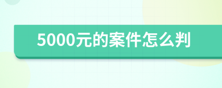 5000元的案件怎么判