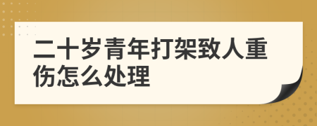 二十岁青年打架致人重伤怎么处理