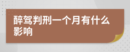 醉驾判刑一个月有什么影响