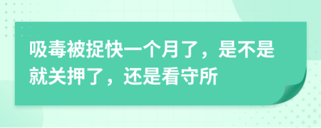 吸毒被捉快一个月了，是不是就关押了，还是看守所