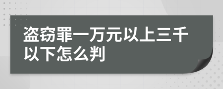 盗窃罪一万元以上三千以下怎么判