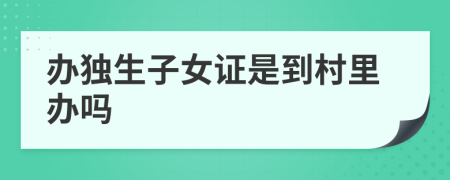 办独生子女证是到村里办吗