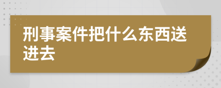 刑事案件把什么东西送进去