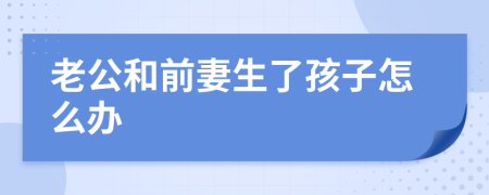 老公和前妻生了孩子怎么办