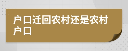 户口迁回农村还是农村户口