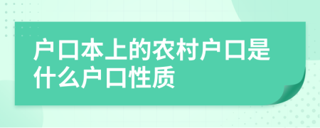 户口本上的农村户口是什么户口性质