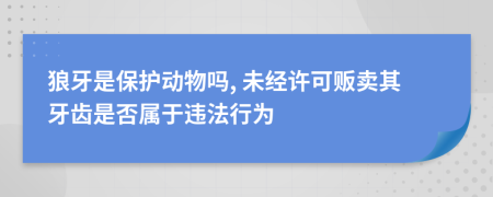 狼牙是保护动物吗, 未经许可贩卖其牙齿是否属于违法行为