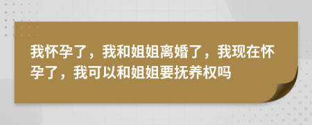 我怀孕了，我和姐姐离婚了，我现在怀孕了，我可以和姐姐要抚养权吗