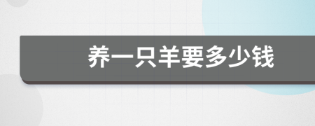 养一只羊要多少钱