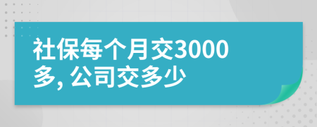 社保每个月交3000多, 公司交多少