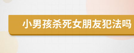 小男孩杀死女朋友犯法吗