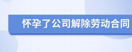 怀孕了公司解除劳动合同