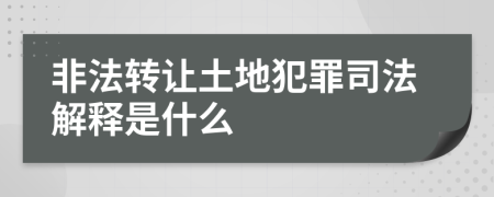 非法转让土地犯罪司法解释是什么