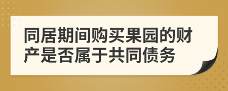 同居期间购买果园的财产是否属于共同债务